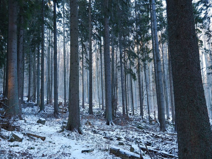 Čistá slovenská príroda Čistá slovenská príroda