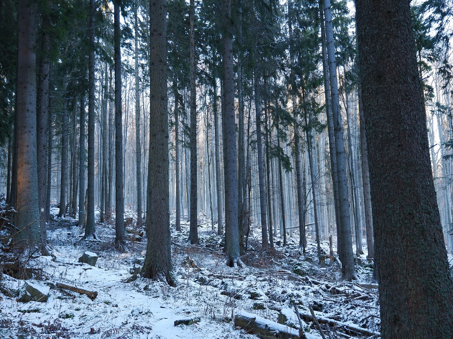 Čistá slovenská príroda 