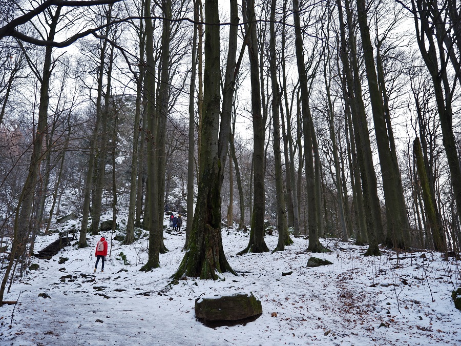 Nádherné ticho hôr