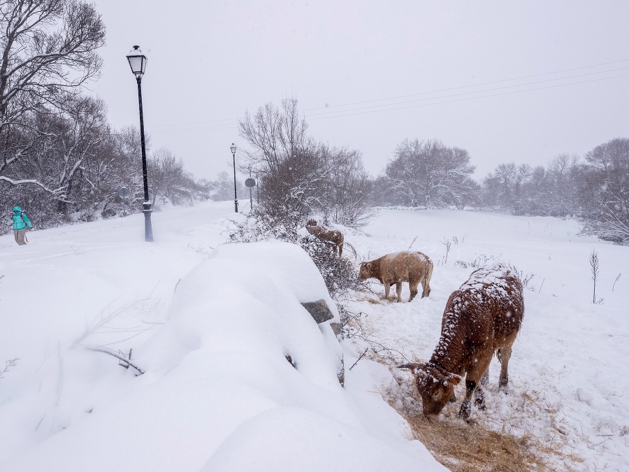 Brrr, to je zima