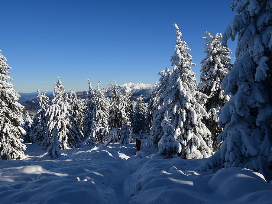 Snehové kráľovstvo