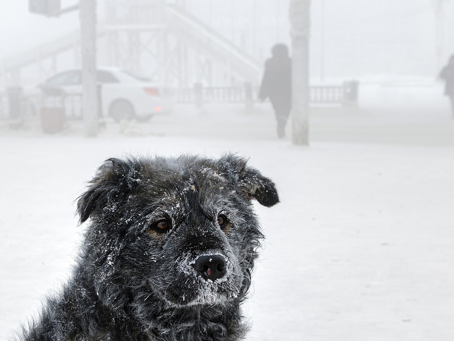 Bŕŕ, to je ale zima.