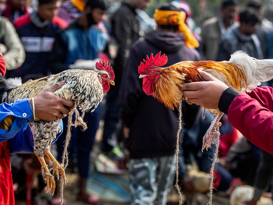 Ostro sledovaný zápas