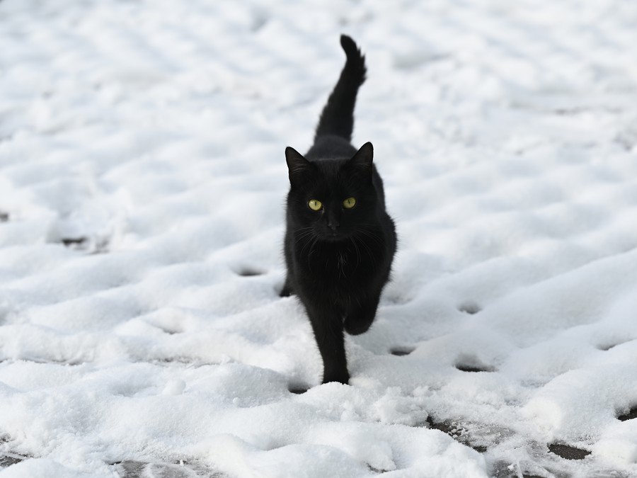 V bielej perine sa nestratím