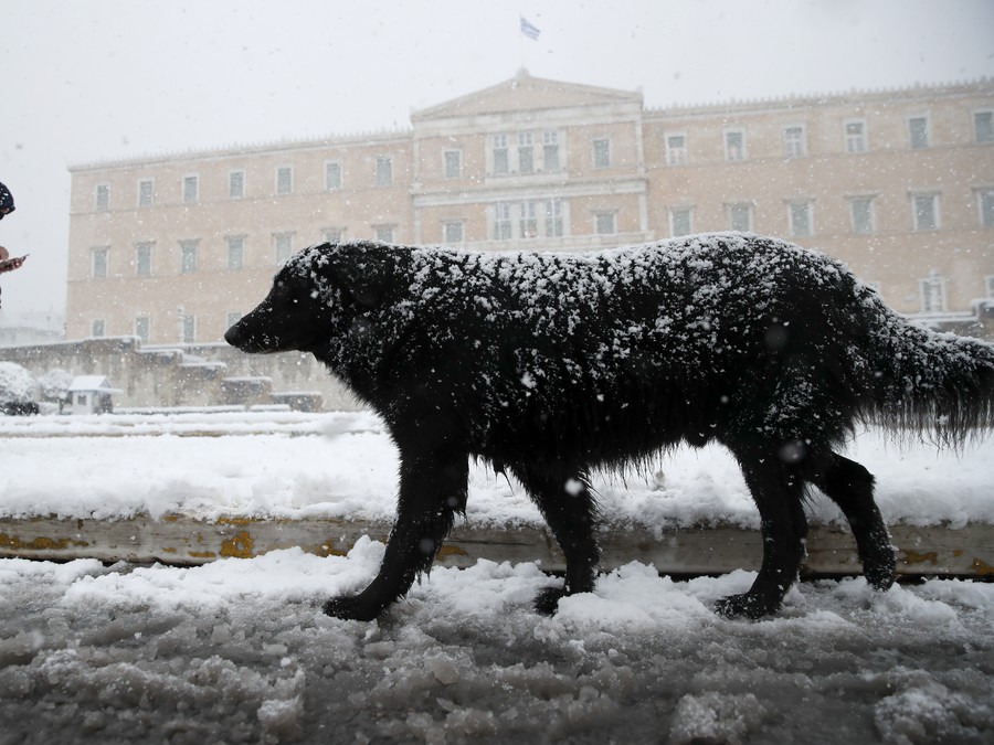 Bŕŕ, to je ale zima.