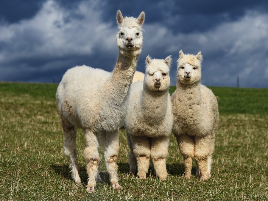 Najprv si ťa poriadne obzrieme!