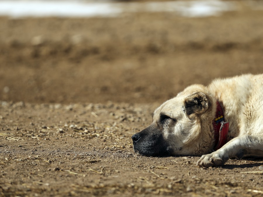 Dnes ma nechajte na pokoji!
