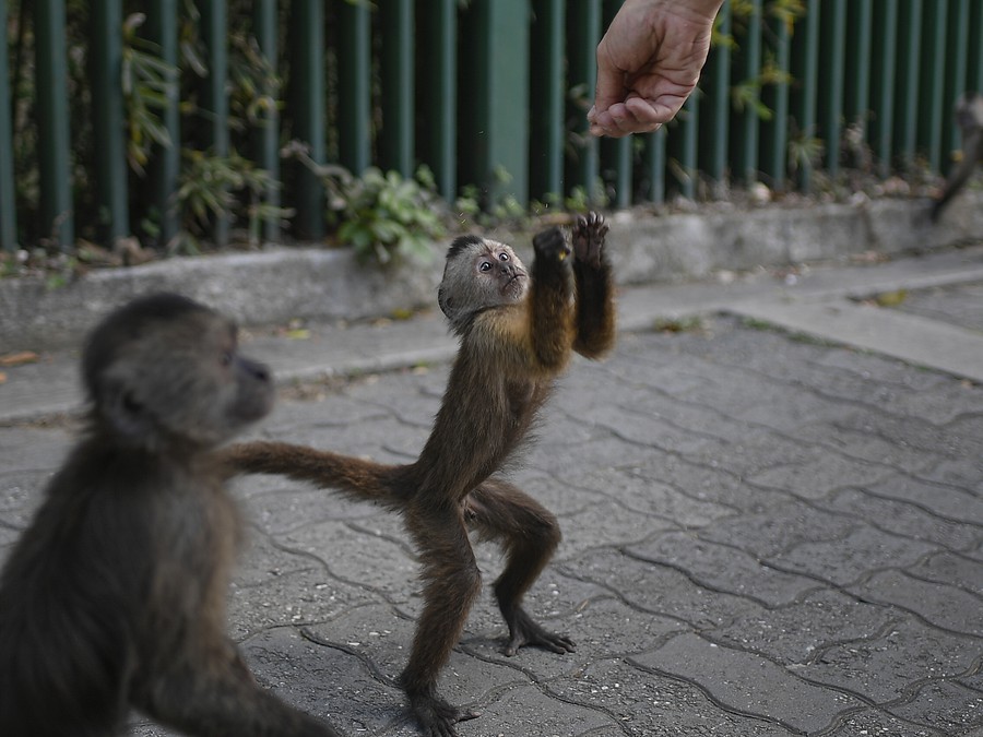 Môžem ešte trochu dostať, prosím?