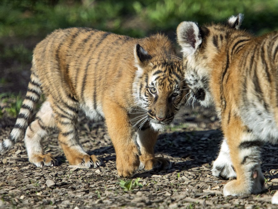 Daj si na mňa pozor!