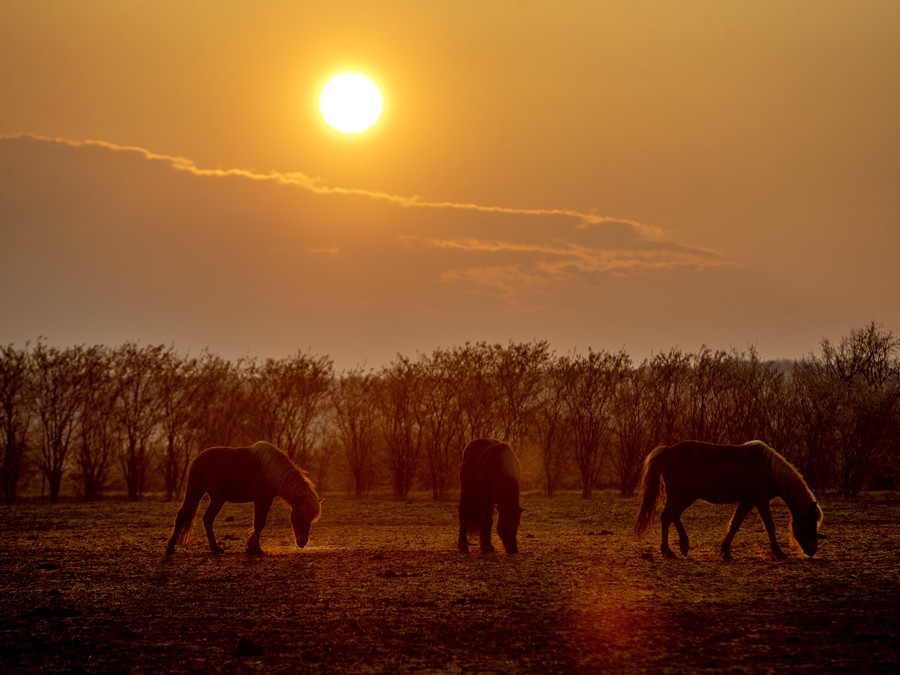 Krásny deň je pred nami