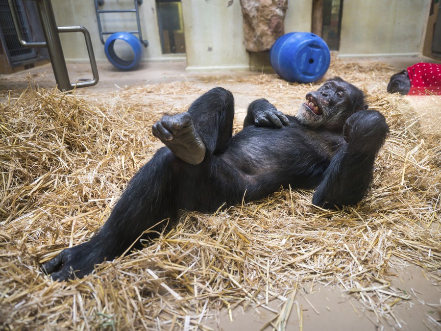 Nerušiť, relaxujem!
