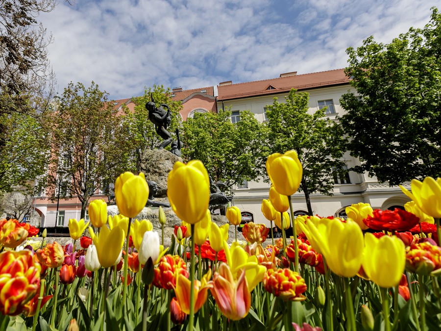 Cítiš vôňu jari?