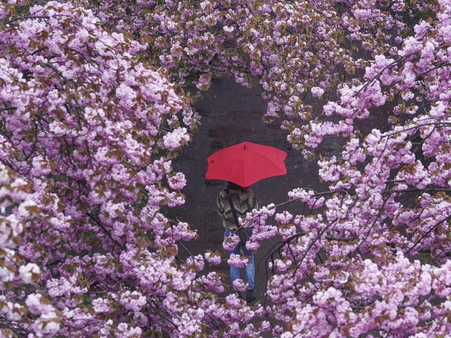 Prechádzka v daždi