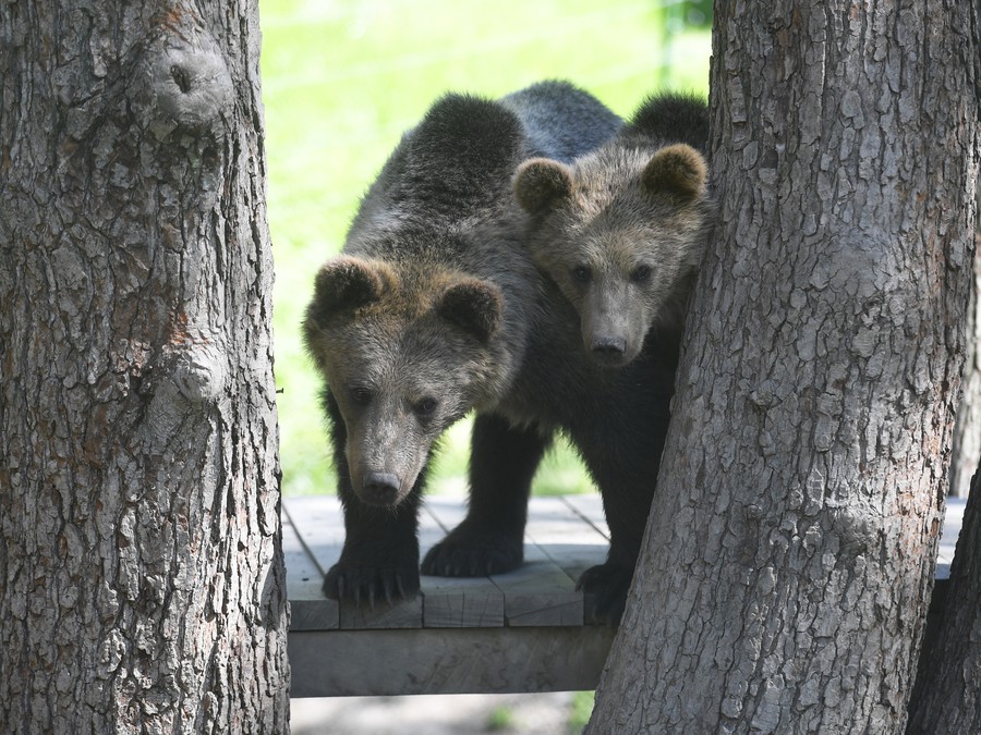 Čo nás dnes čaká? 