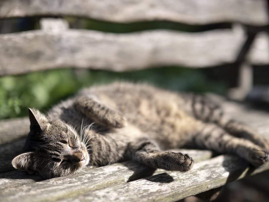 Nechaj ma ešte chvíľku!