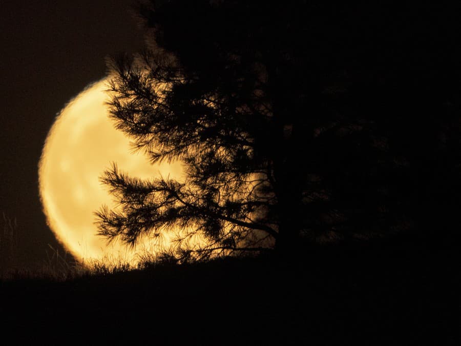 Zahráme sa na schovávačku? 