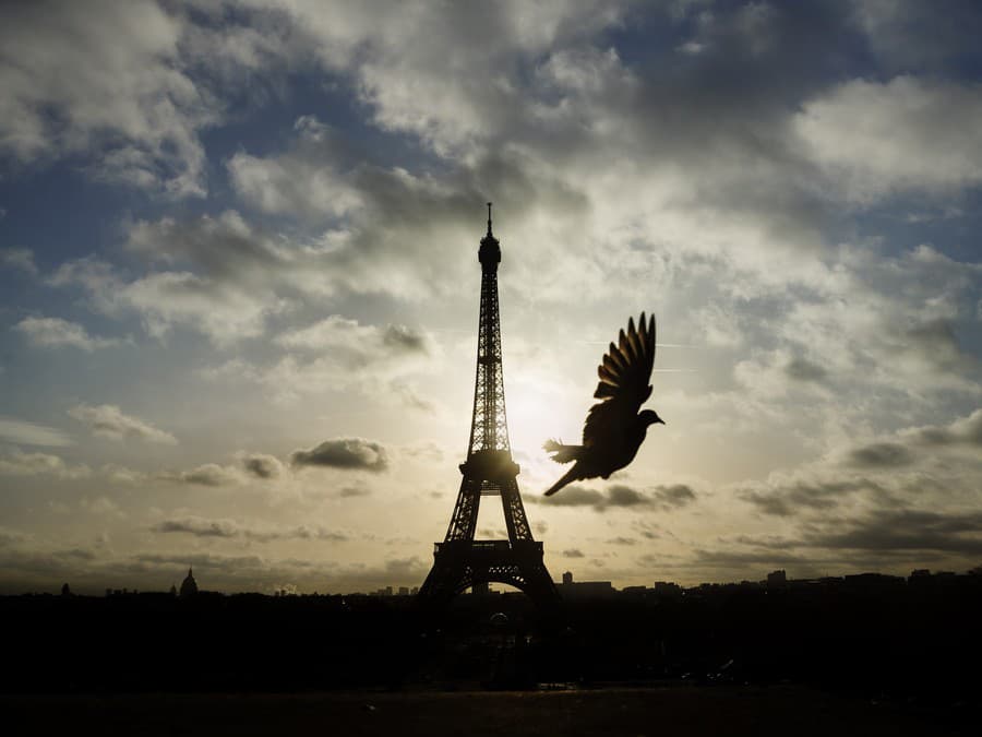 Letecký zážitok s výhľadom