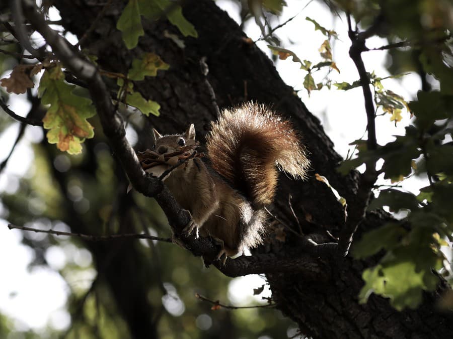 Nepozeraj sa tak na mňa!