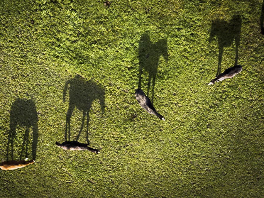 Žiadne predbiehanie!