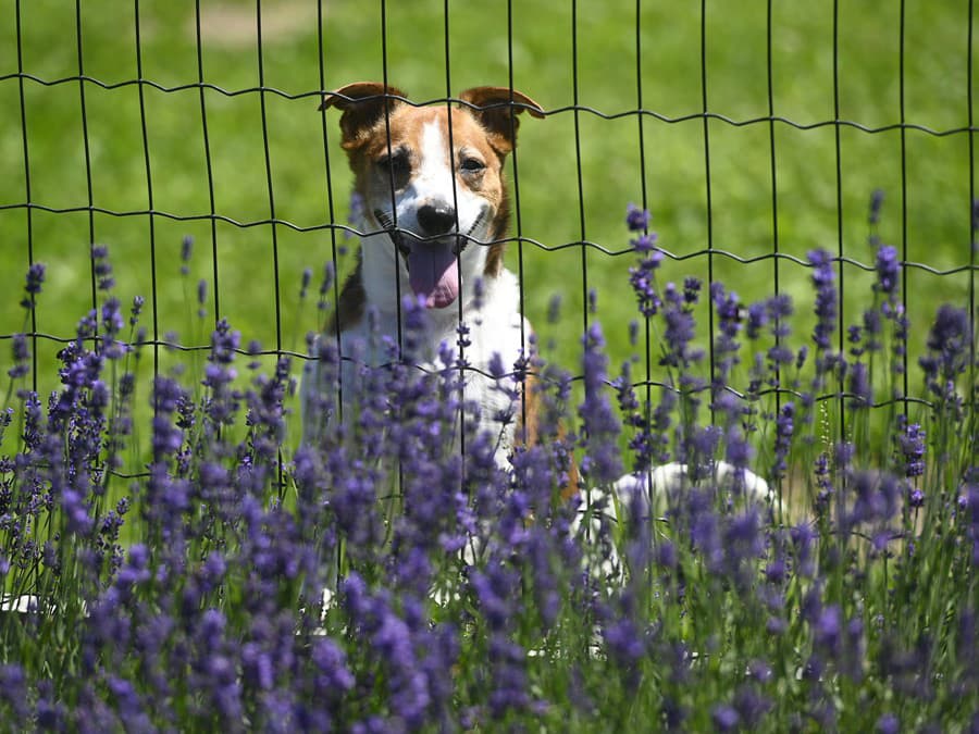 Každý deň s úsmevom na tvári