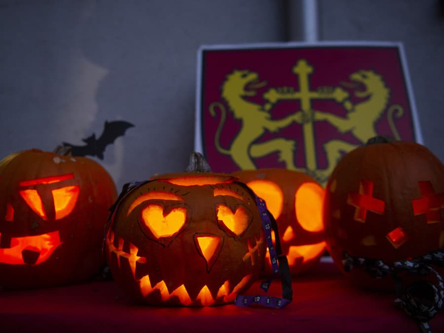 Tekvicová sezóna v plnom prúde!