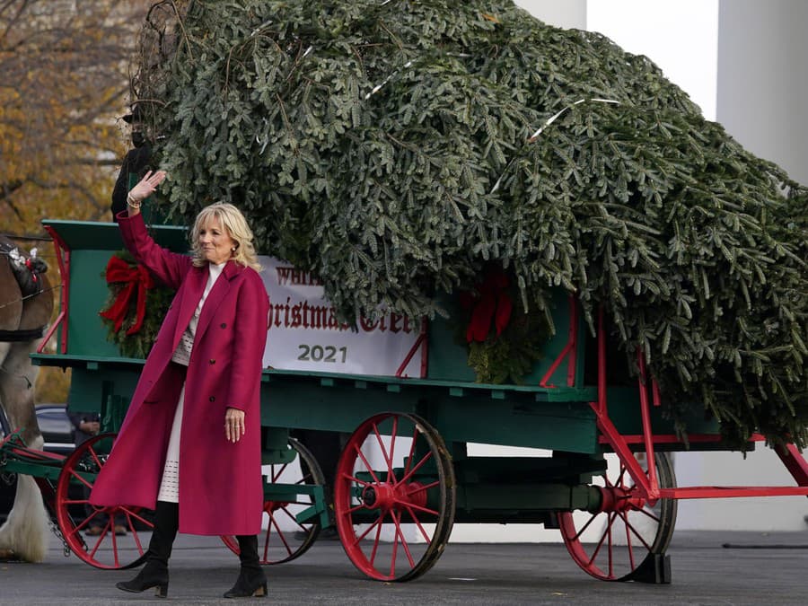 Stromček pre Biely dom