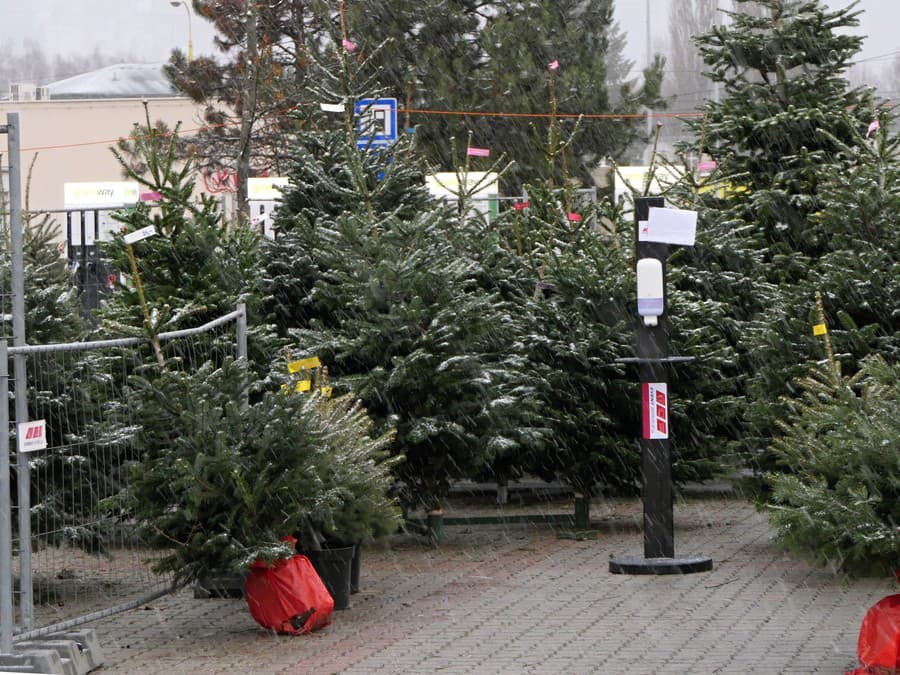 A vy už máte ten svoj? 