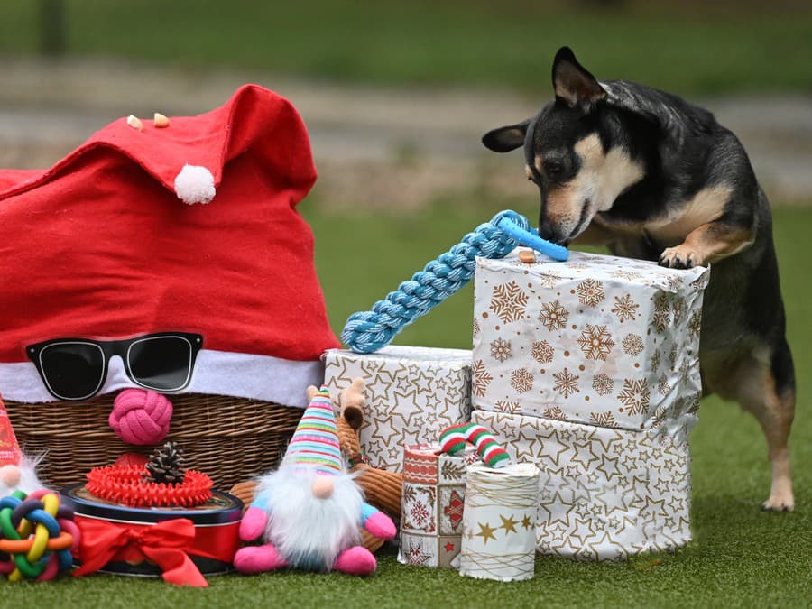 Ktorý si rozbalím ako prvý? 