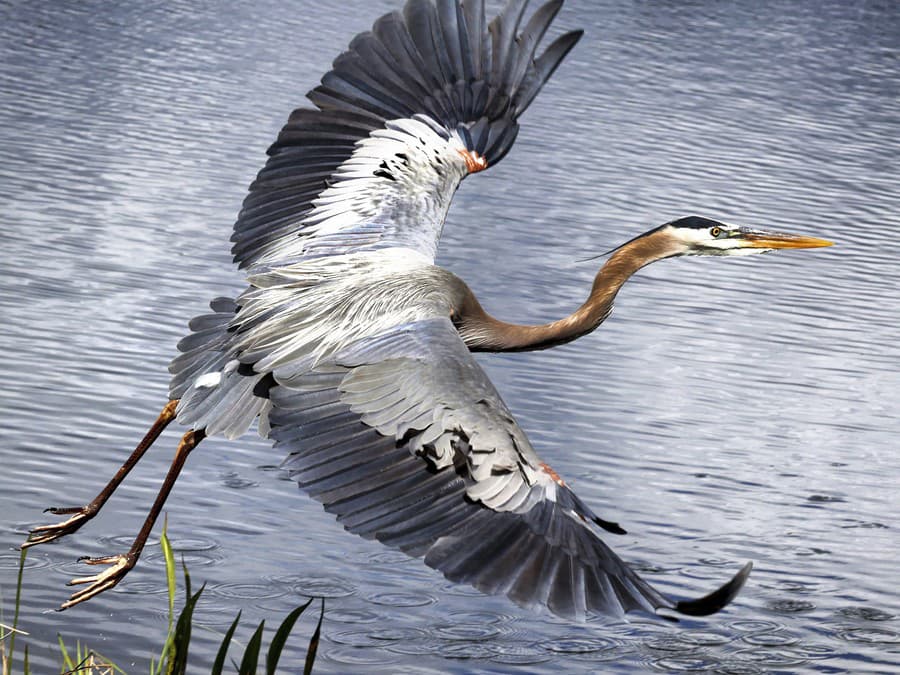 Pripravená na výlet