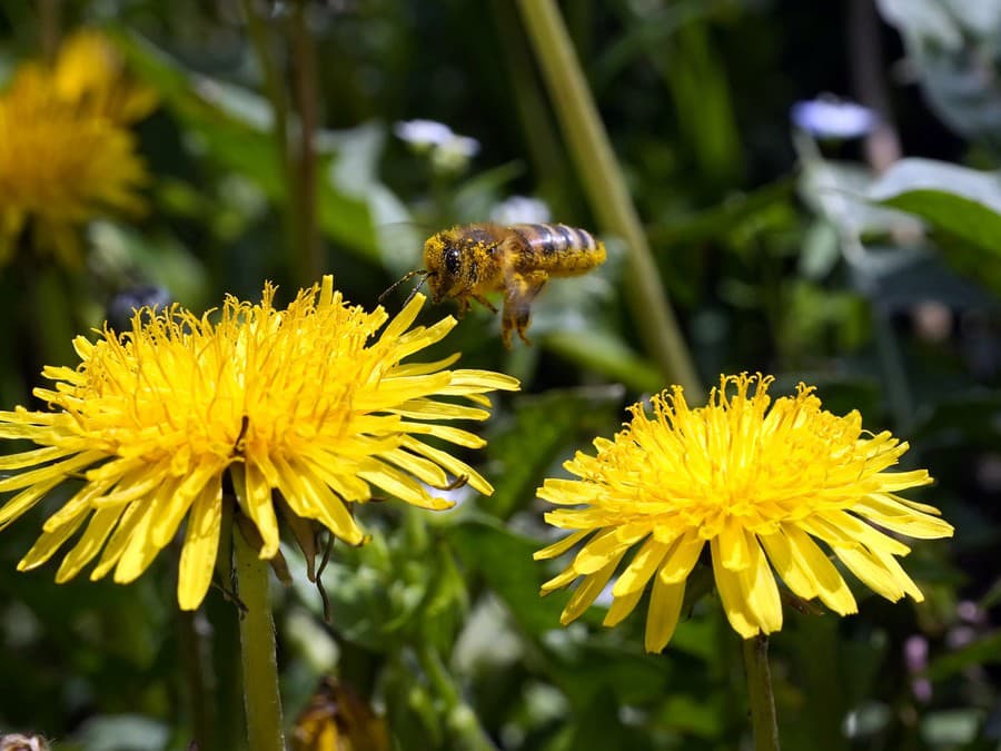 Pracujem aj cez víkend!