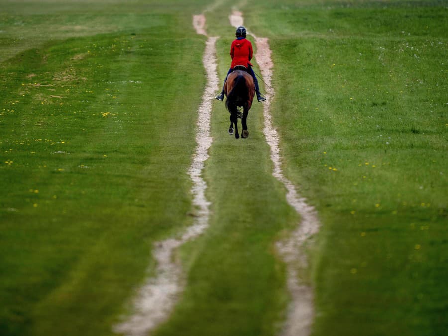 Slobodná jazda na koni