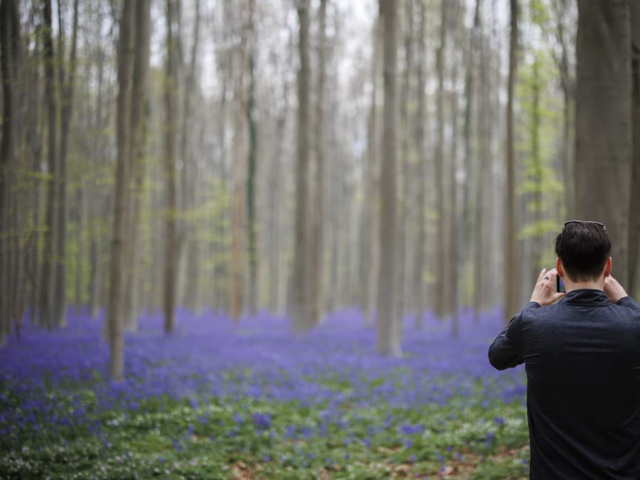 Začala jar! Prví turisti zbierajú zvončeky