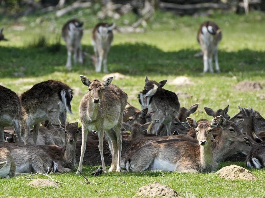 Oddychu nie je nikdy dosť