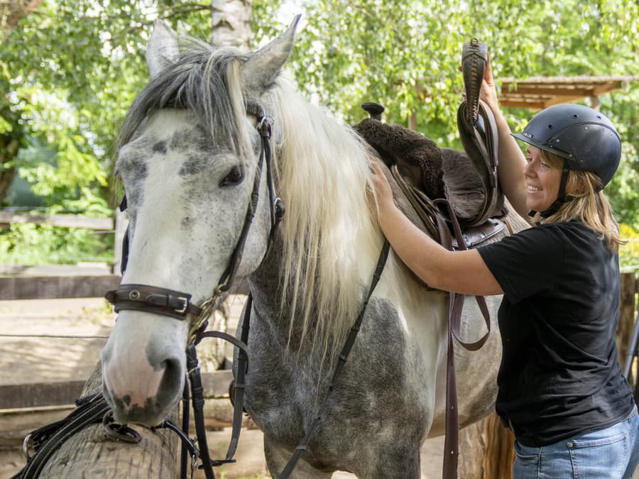Do práce na koni...