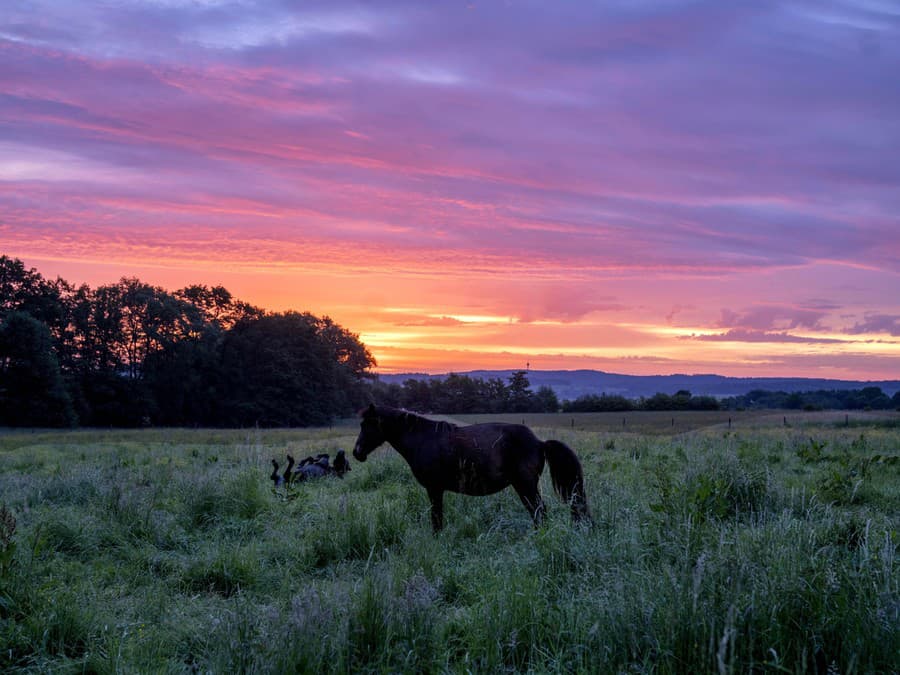 Čakanie na východ slnka