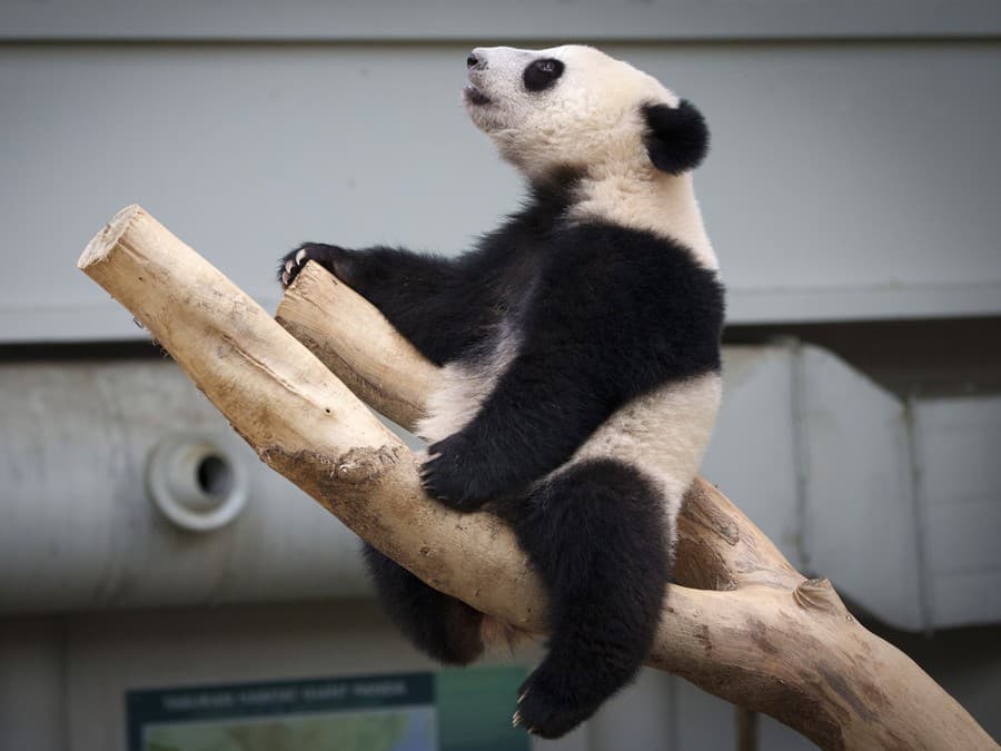 Aký je svet krásny!