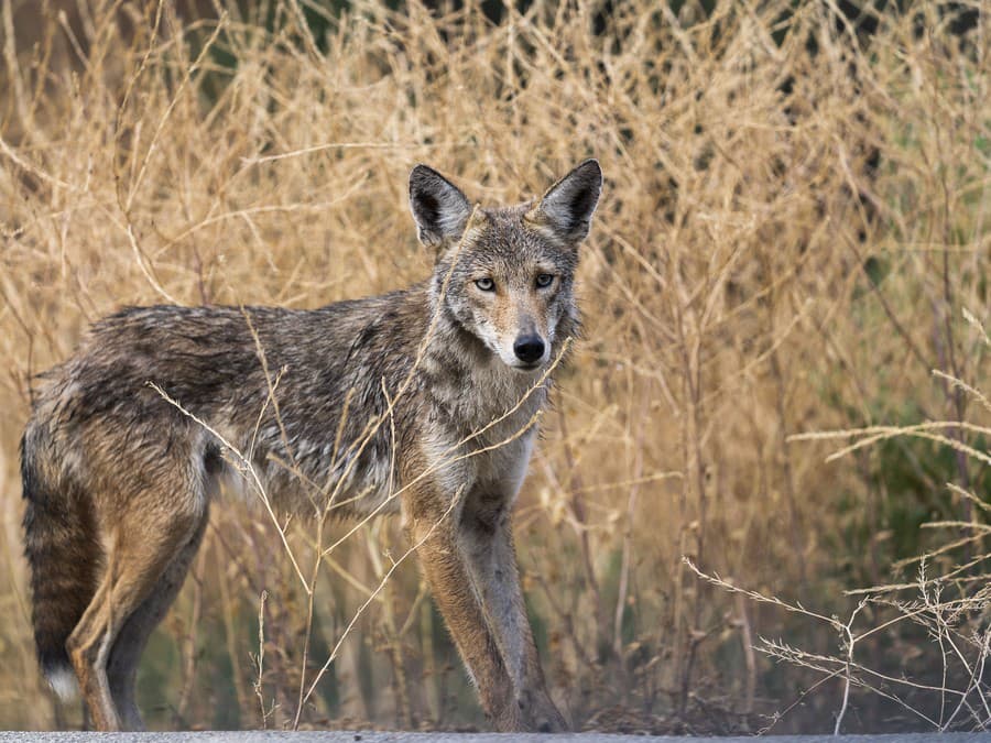 Aj tebe je tak teplo? 