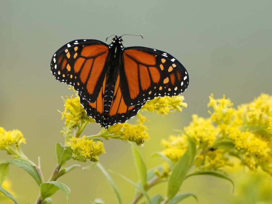 Len si tu chvíľočku posedím