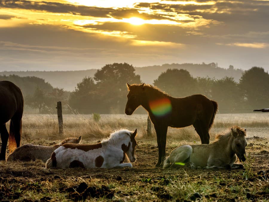 Musíme si oddýchnuť