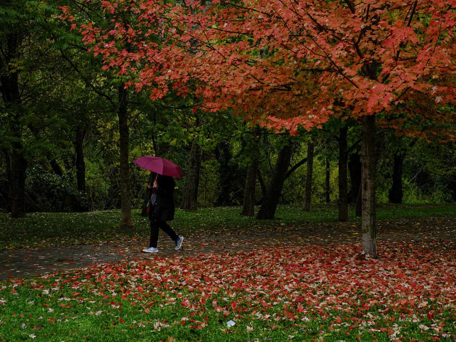 Farebná prechádzka parkom