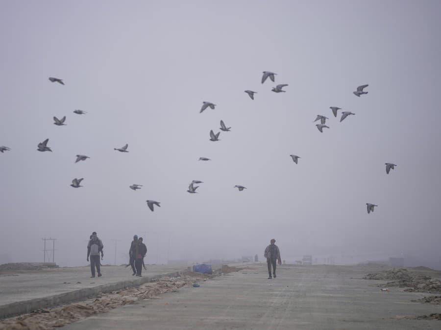 Ranná hmlistá prechádzka