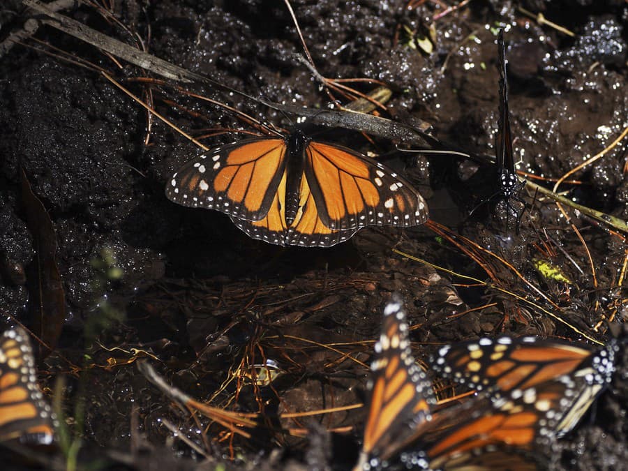 Chvíľu si tu posedím