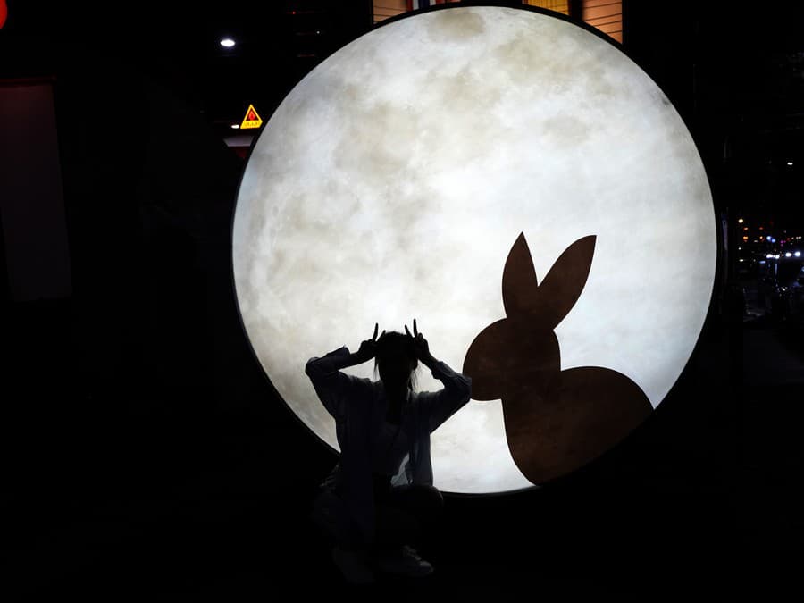 Ktorý z nás je zajac?