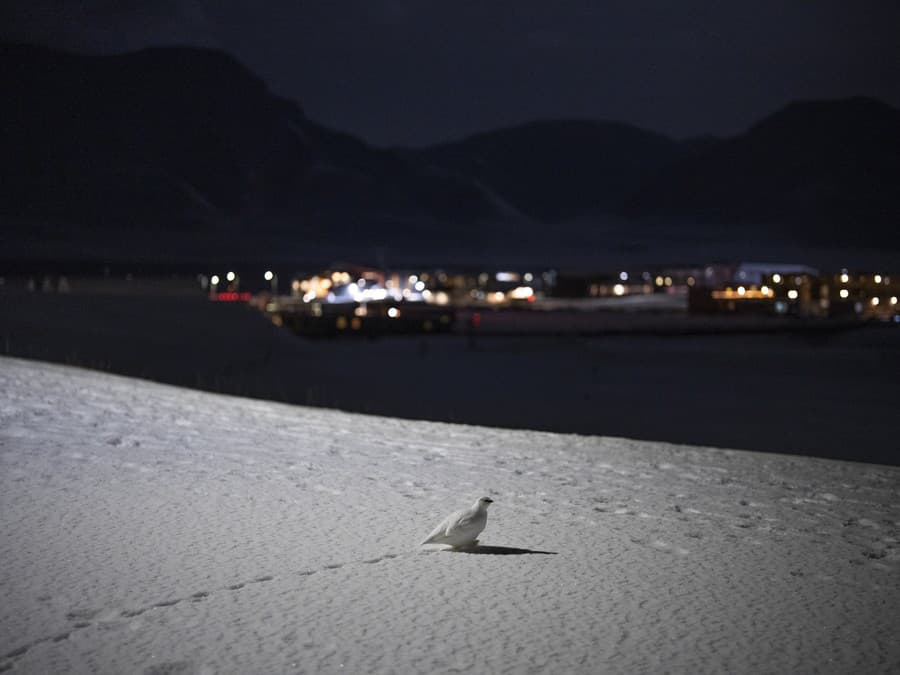 Pokochám sa výhľadom