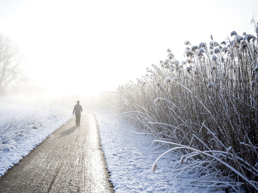 Prechádzka snehovým kráľovstvom