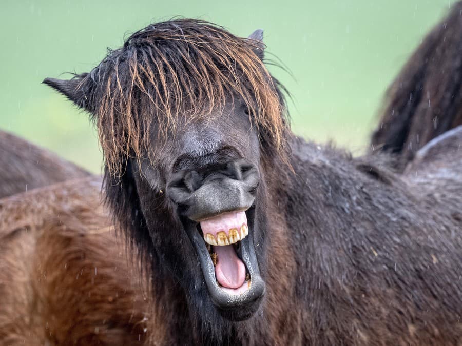 S úsmevom do nového dňa! 