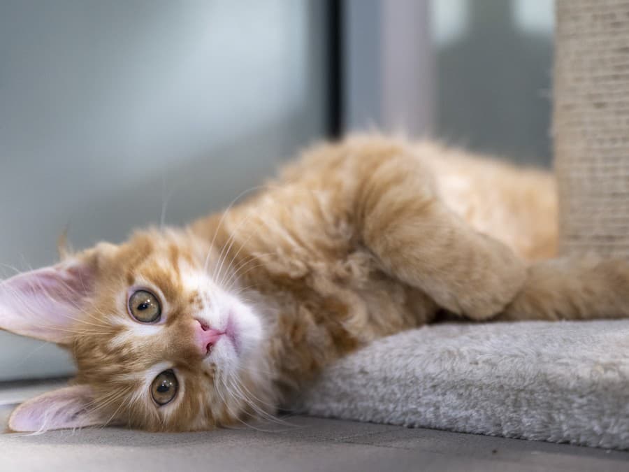 Krásny deň prajem!