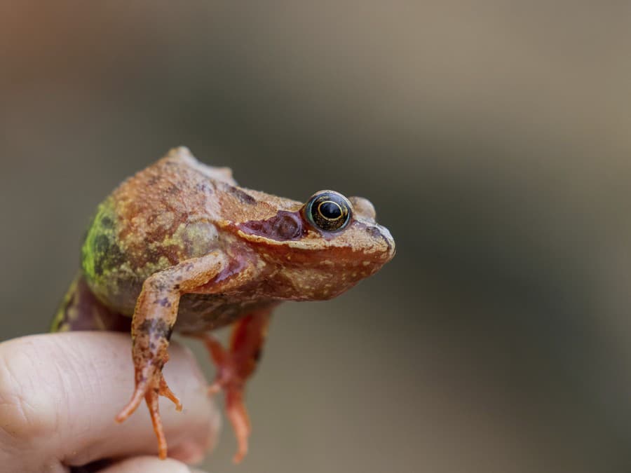 Pripravená na skok!