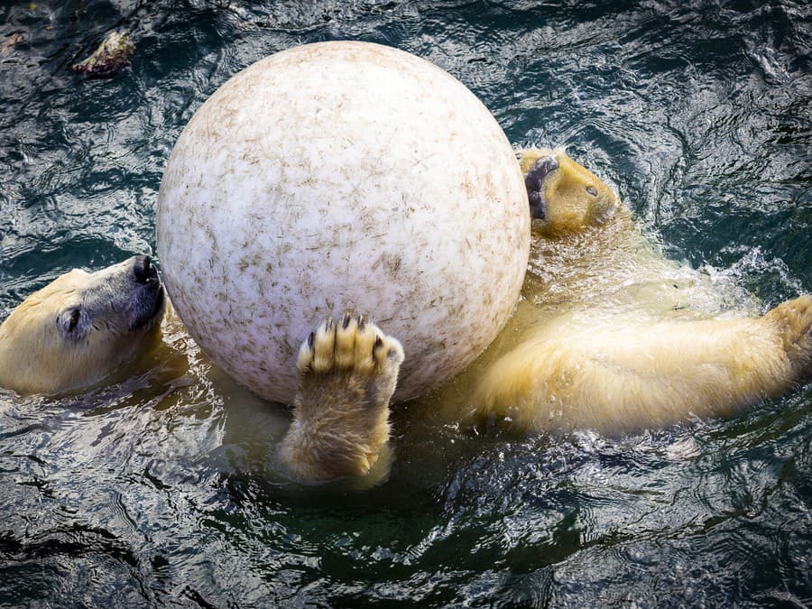 Peknú sobotu prajem.