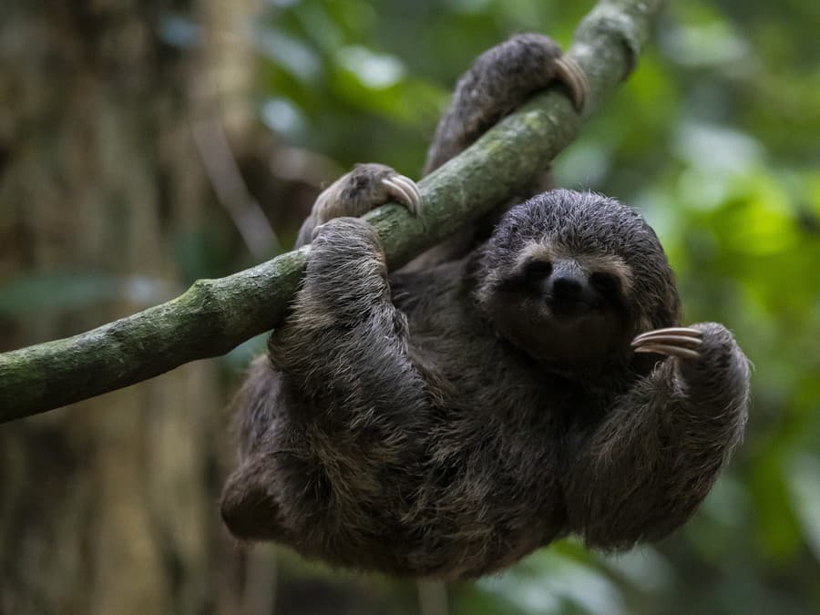 Poď bližšie, niečo ti ukážem. 